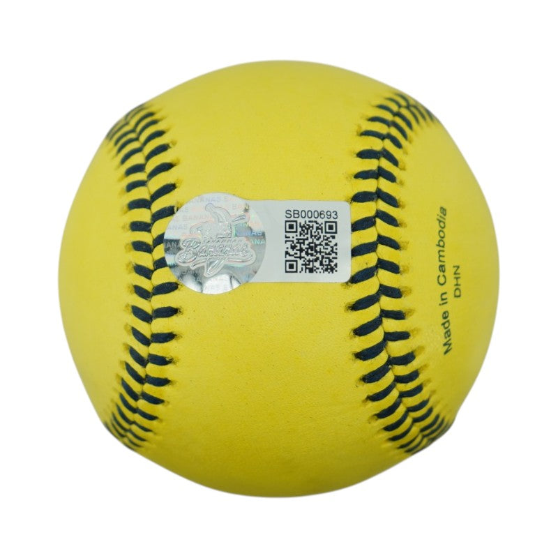 Ashby Vining Loco Beach Coconuts Autographed Official Banana Ball