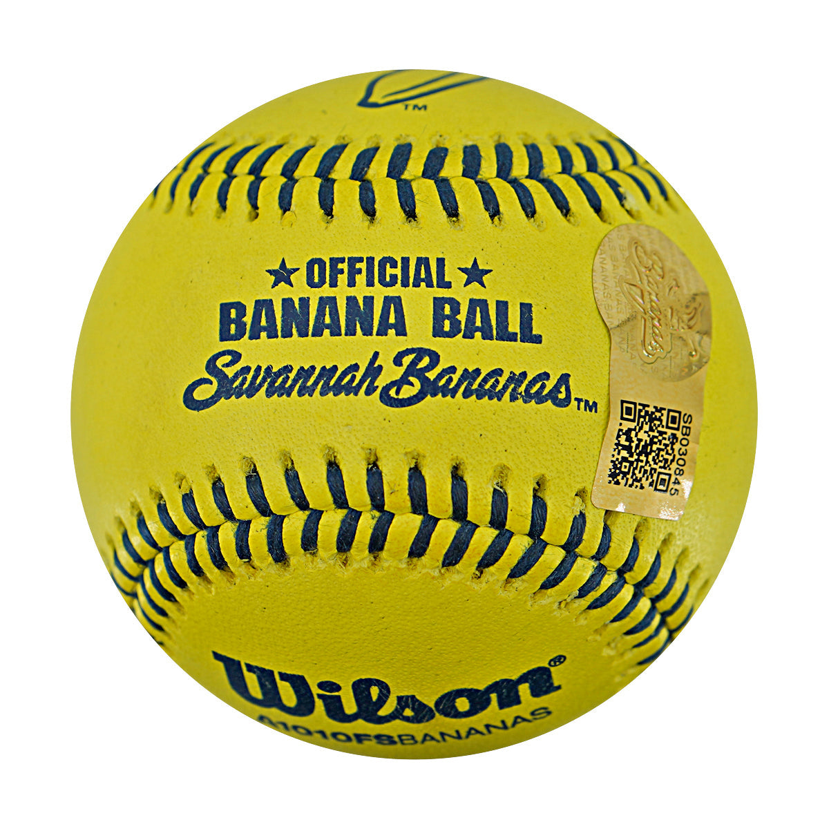 Andrew Irvine Party Animals Strikeout Game Used Banana Ball 2.27.26 FSU Tallahassee Florida
