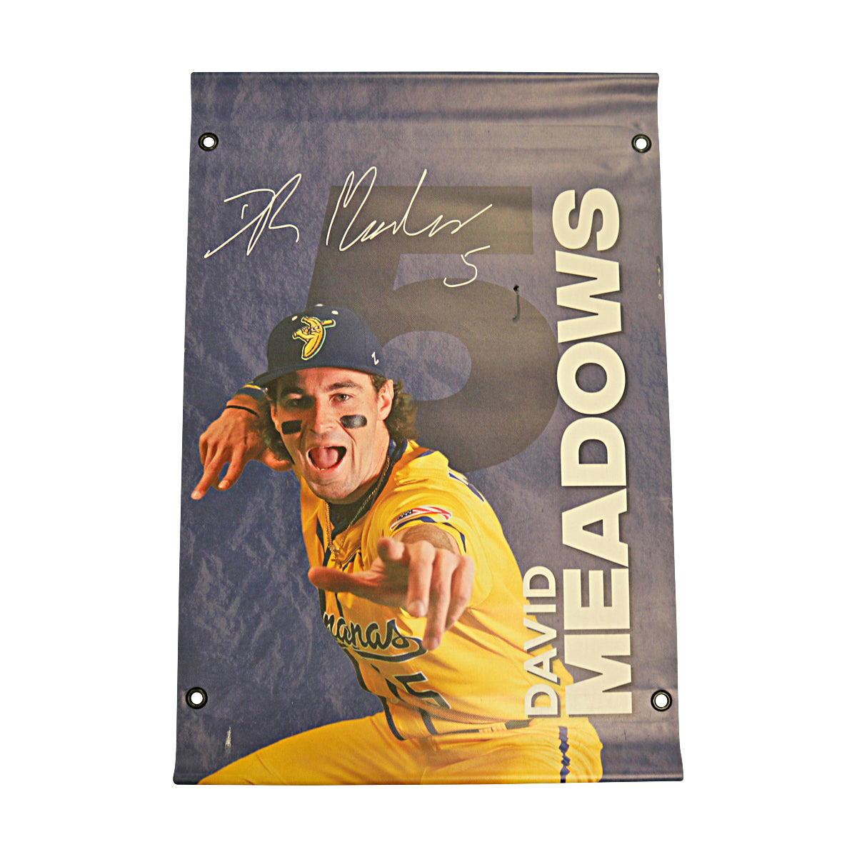 David Meadows Autographed Inscribed Savannah Bananas 2024 GraysonStadium 24"x35" Vinyl Banner