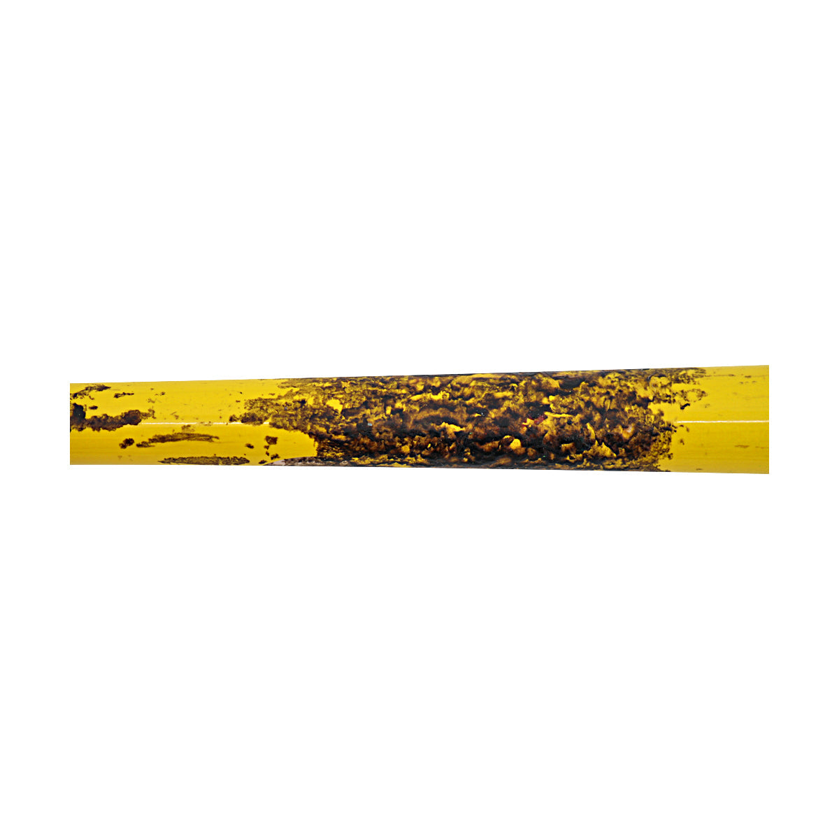 Ryan Cox Savannah Bananas Autographed Inscribed LS CB24 8th Inning Walk-Off Home Run Bat from Clemson 4/26/25