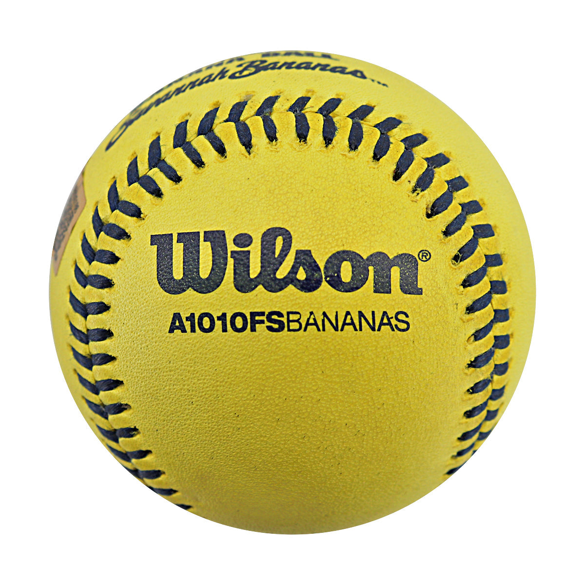 Jonathan Stewart Signed Game Used Banana Ball 6.6.25 Bank of America Stadium