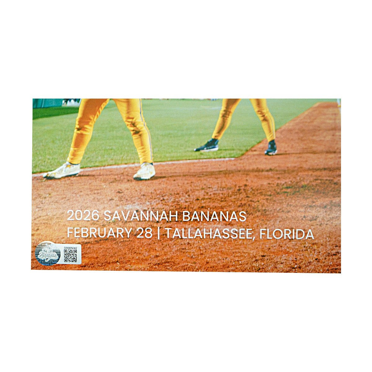 Savannah Bananas 2026 Team Signed 16x20 Photograph
