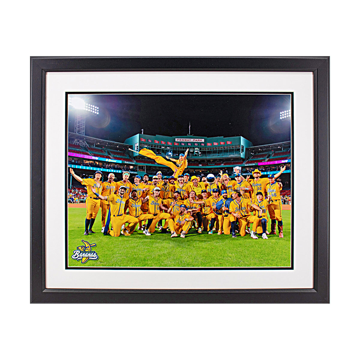 Savannah Bananas FRAMED Team 16x20 Photograph - 2024 at Fenway Park - UNSIGNED