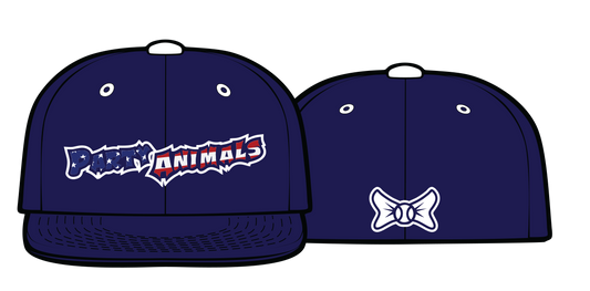 Party Animals Stars and Stripes Game Hat