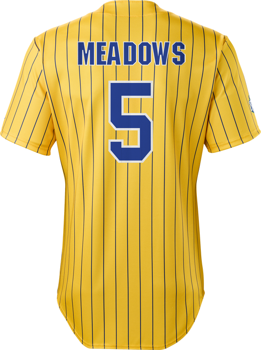 Bananas DR Meadows #5 Evoshield Jersey - Pinstripe