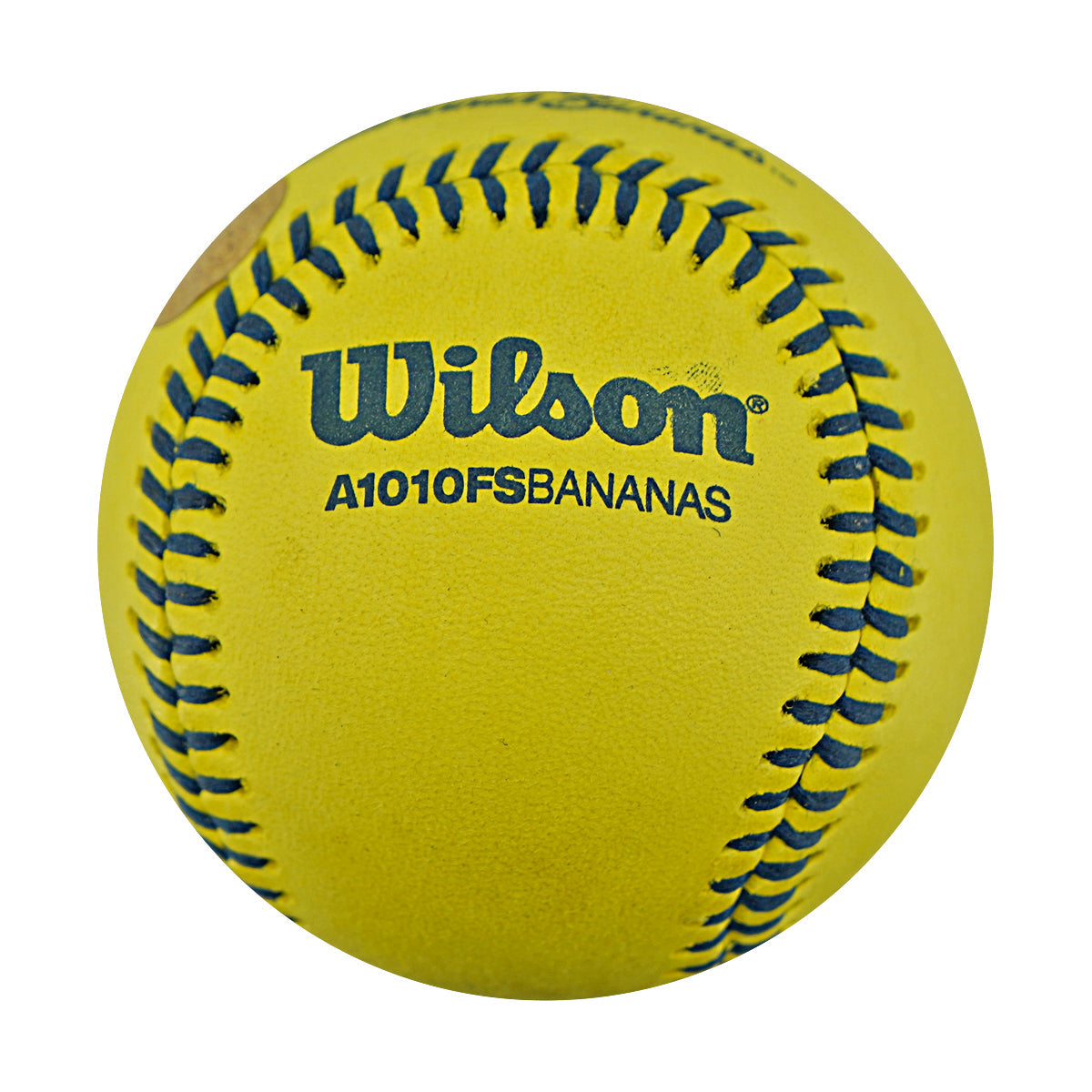 Tony Voiro Indianapolis Clowns Autographed Inscribed Official Banana Ball 2.27.26 FSU Tallahassee Florida