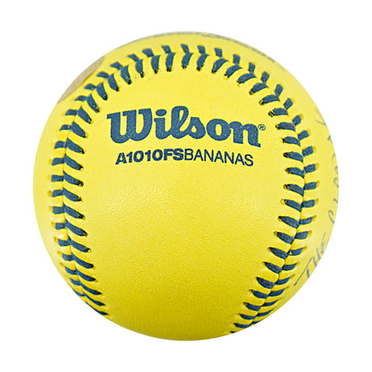 Bill Howard Indianapolis Clowns Autographed Inscribed Official Banana Ball 2.27.26 FSU Tallahassee Florida