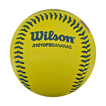 Errick Fox Indianapolis Clowns Autographed Inscribed Official Banana Ball 2.27.26 FSU Tallahassee Florida