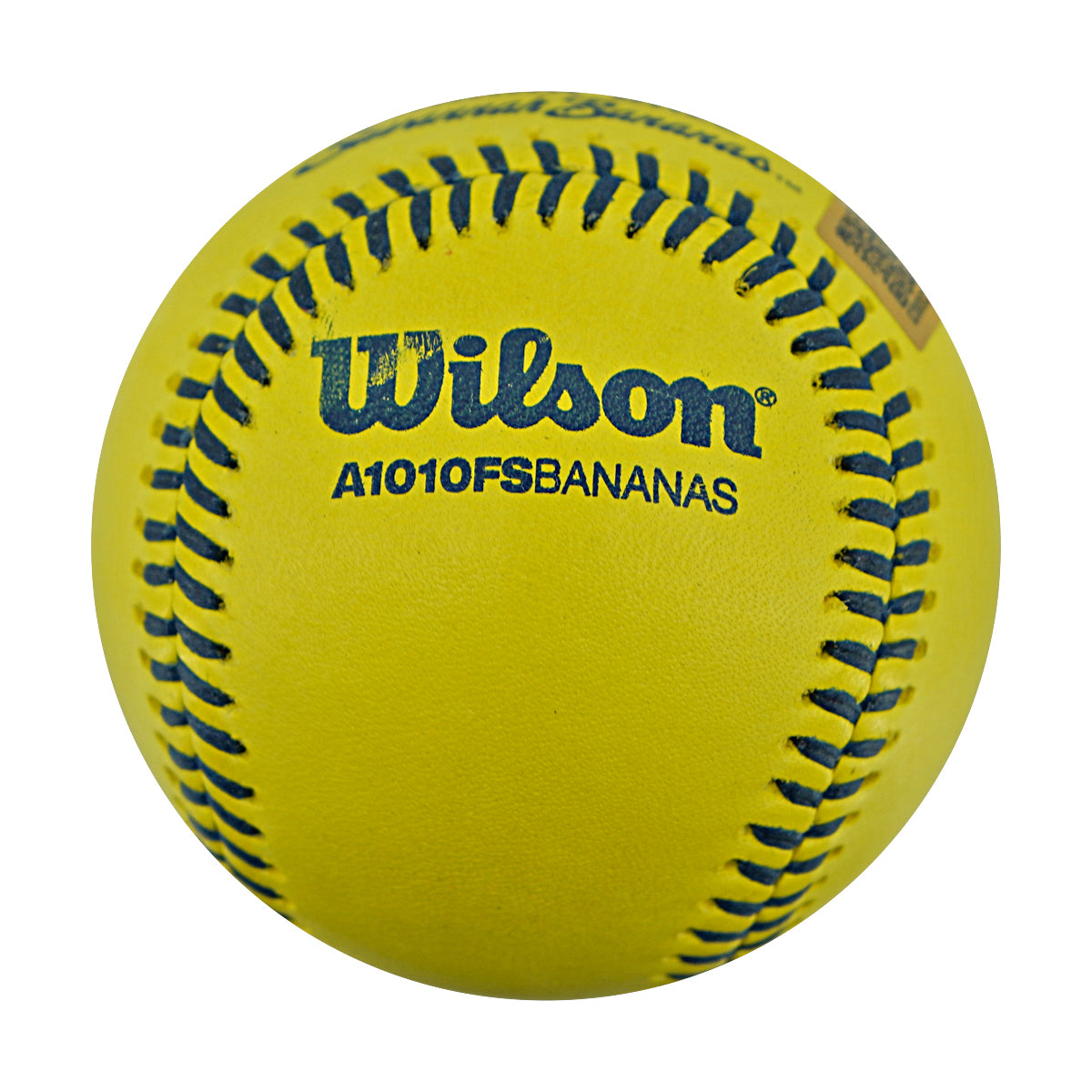 Errick Fox Indianapolis Clowns Autographed Inscribed Official Banana Ball 2.27.26 FSU Tallahassee Florida