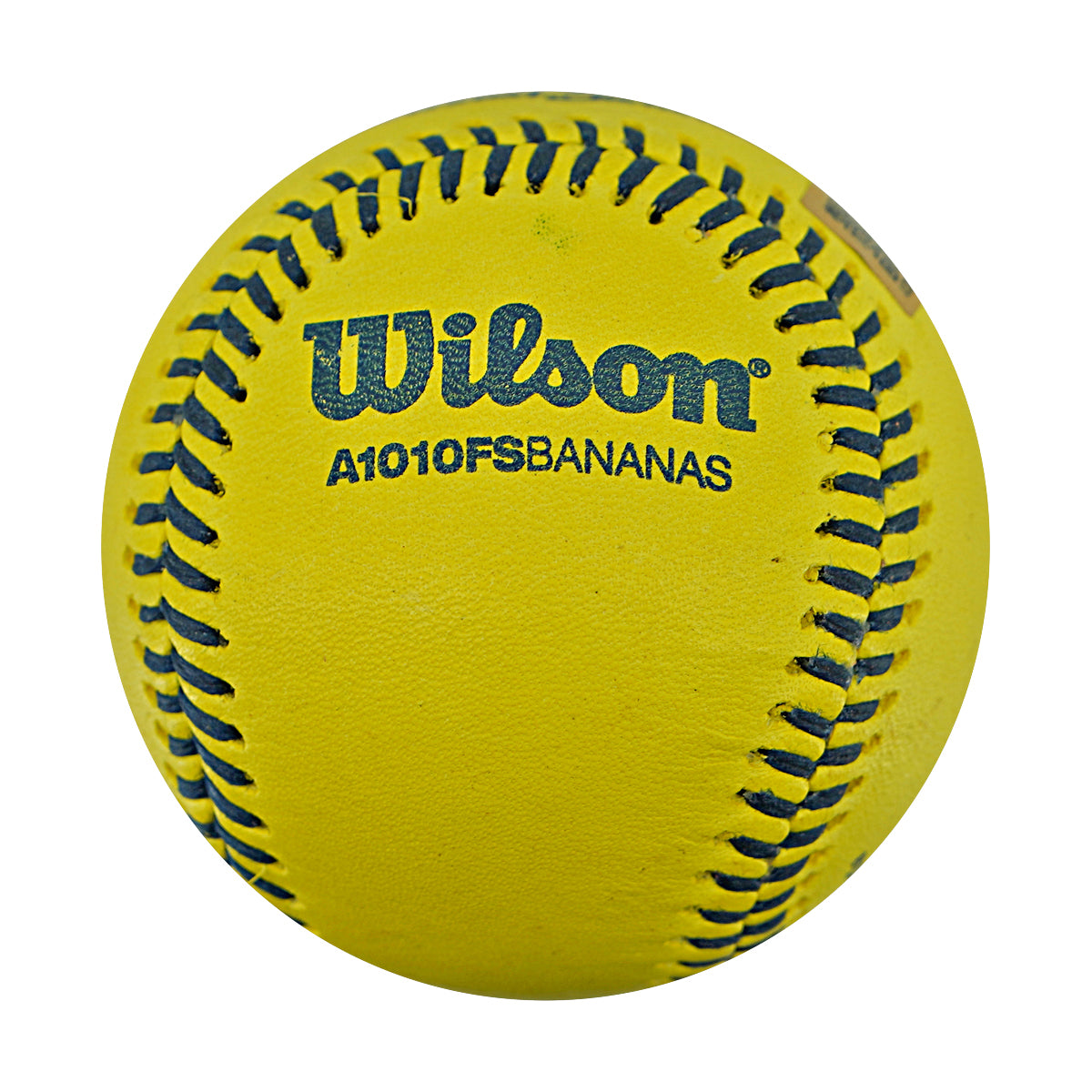 Indianapolis Clowns Game Used Banana Ball 2.27.26 FSU Tallahassee Florida