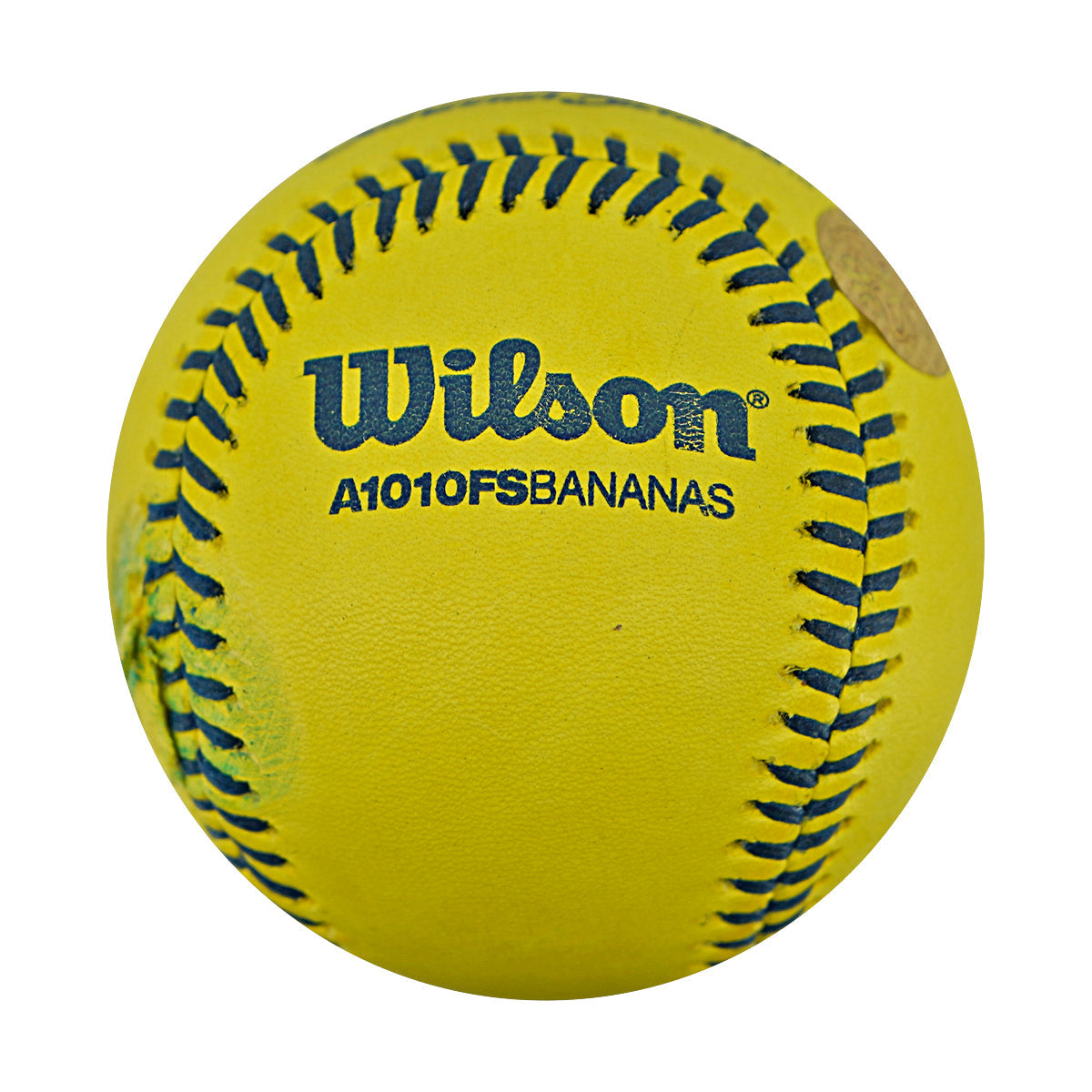 Indianapolis Clowns Game Used Banana Ball 2.27.26 FSU Tallahassee Florida