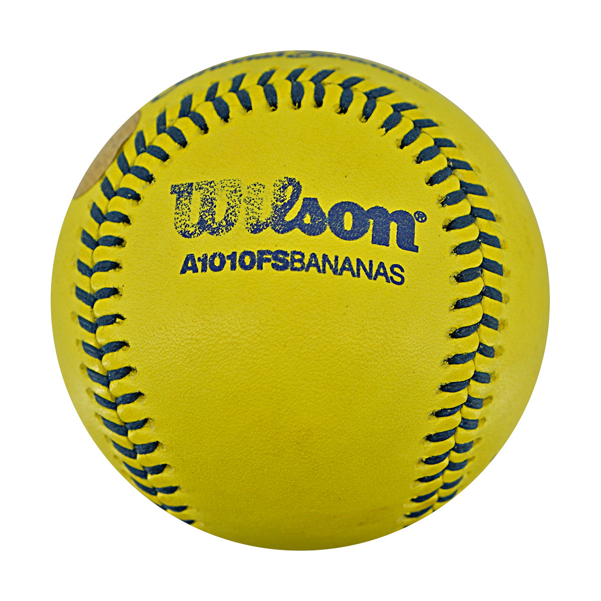 Indianapolis Clowns Game Used Banana Ball 2.27.26 FSU Tallahassee Florida