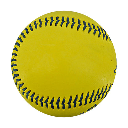 Gage Voorhees Indianapolis Clowns Strikeout Game Used Banana Ball 2.27.26 FSU Tallahassee Florida