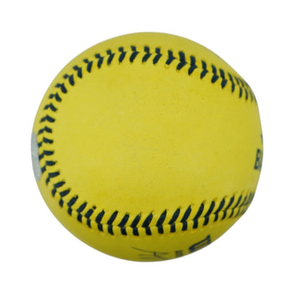 Ashby Vining Loco Beach Coconuts Autographed Official Banana Ball