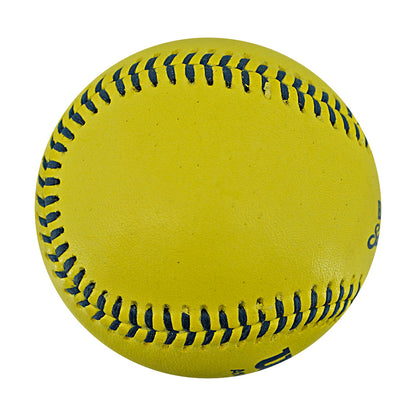 Andrew Irvine Party Animals Strikeout Game Used Banana Ball 2.27.26 FSU Tallahassee Florida