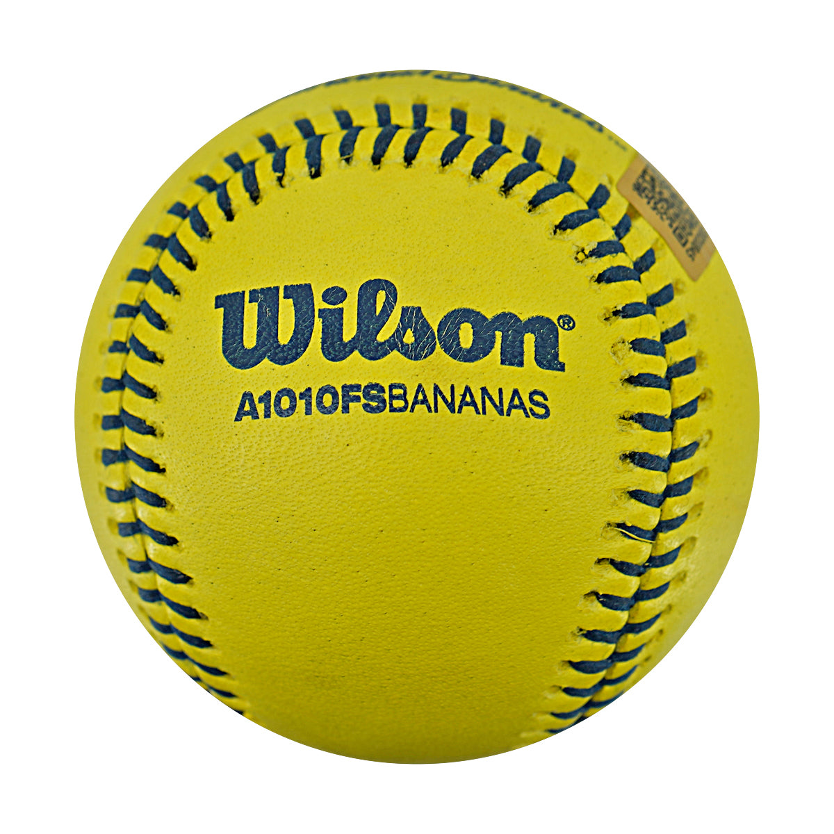 Andrew Irvine Party Animals Strikeout Game Used Banana Ball 2.27.26 FSU Tallahassee Florida