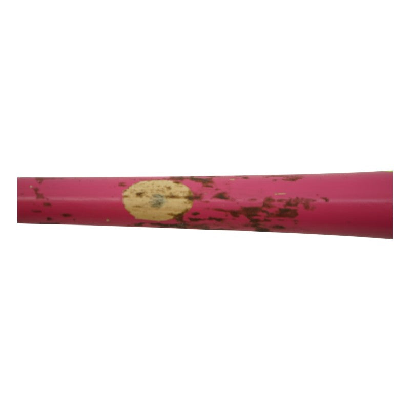 Bryson Bloomer Party Animals Autographed Game Used LS Genuine I13M Bat
