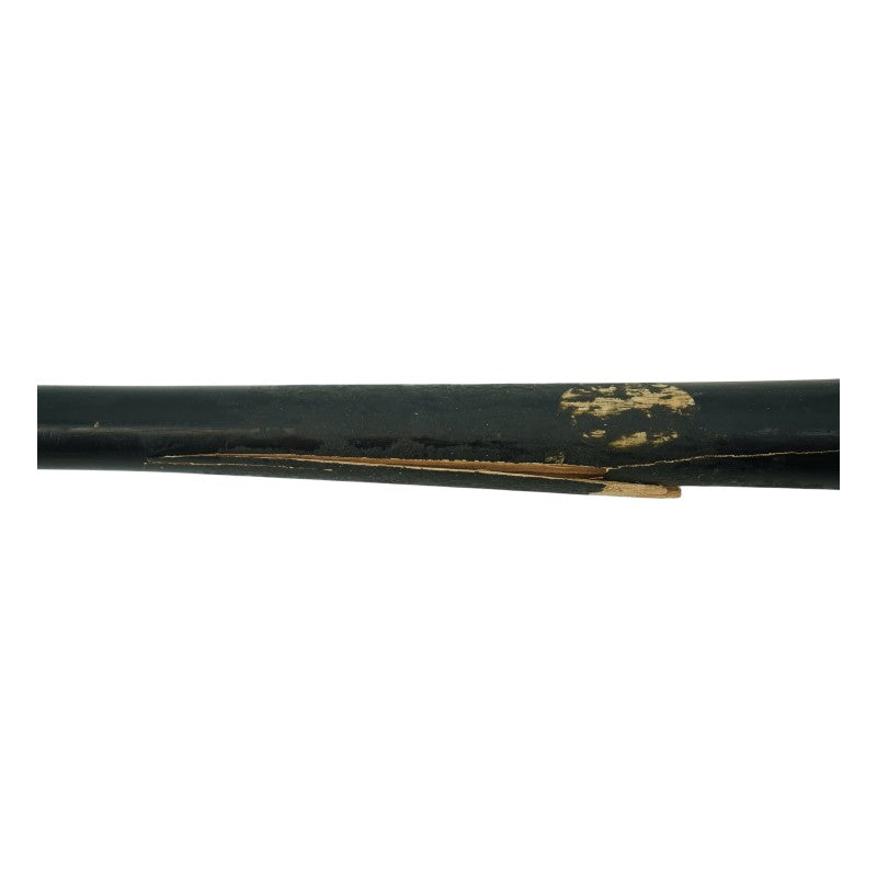 Mike Vavasis Party Animals Autographed Game Used LS Genuine S457 Bat