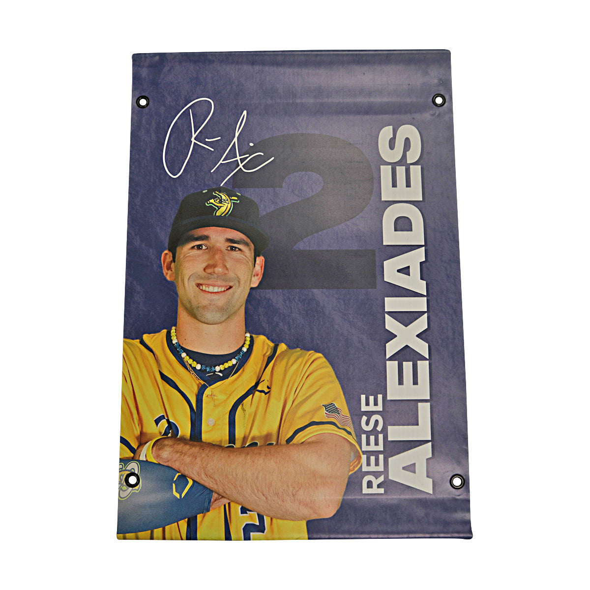 Reese Alexiades Autographed Inscribed Savannah Bananas 2024 Grayson Stadium 24"x35" Vinyl Banner