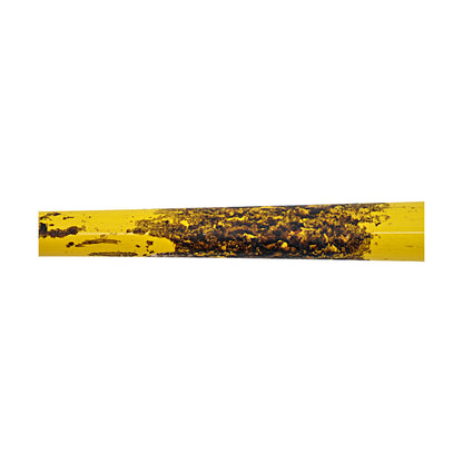 Ryan Cox Savannah Bananas Autographed Inscribed LS CB24 8th Inning Walk-Off Home Run Bat from Clemson  4/26/25