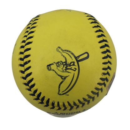 Noah Niznik Autographed Game Used Banana Ball w/Case 4.26.25 Memorial Stadium 