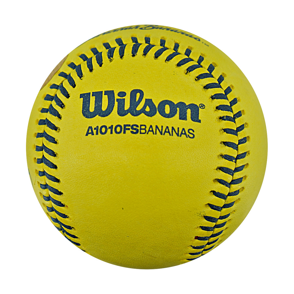 Vincent Chapman Savannah Bananas Autographed Inscribed Official Banana Ball 2.27.26 FSU Tallahassee Florida