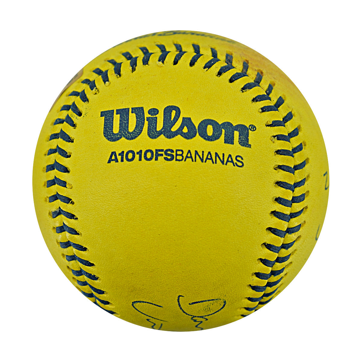 Vincent Chapman Savannah Bananas Autographed Inscribed Official Banana Ball 2.27.26 FSU Tallahassee Florida