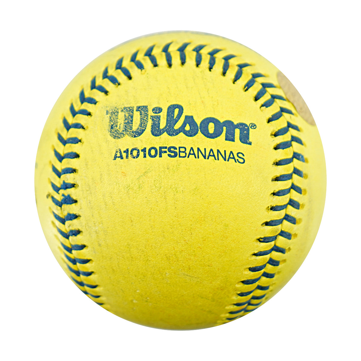 Vincent Chapman Savannah Bananas Autographed Inscribed Official Banana Ball 2.28.26 FSU Tallahassee Florida