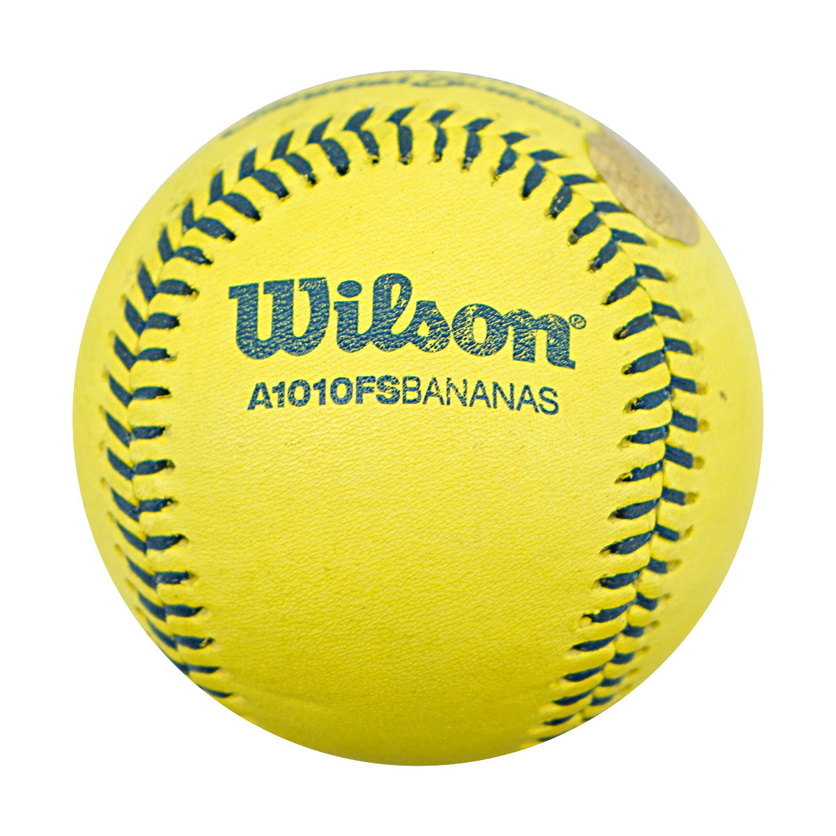 Alex Ziegler Savannah Bananas Autographed Inscribed Official Banana Ball 2.28.26 FSU Tallahassee Florida