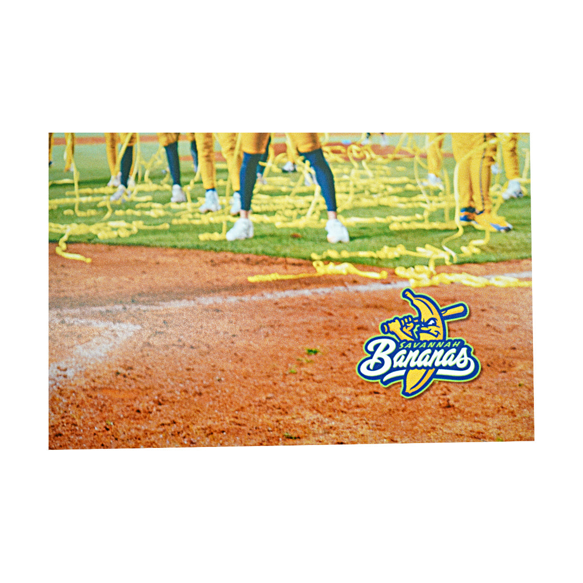 Savannah Bananas 2026 Team Signed 16x20 Photograph