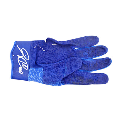 Wilson Ramos Autographed Game Used Pair Of Gloves 6.27.25 Nationals Park 