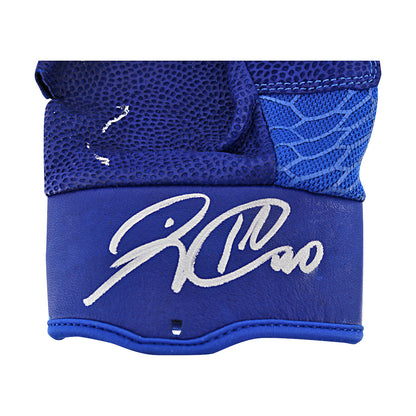 Wilson Ramos Autographed Game Used Pair Of Gloves 6.27.25 Nationals Park 