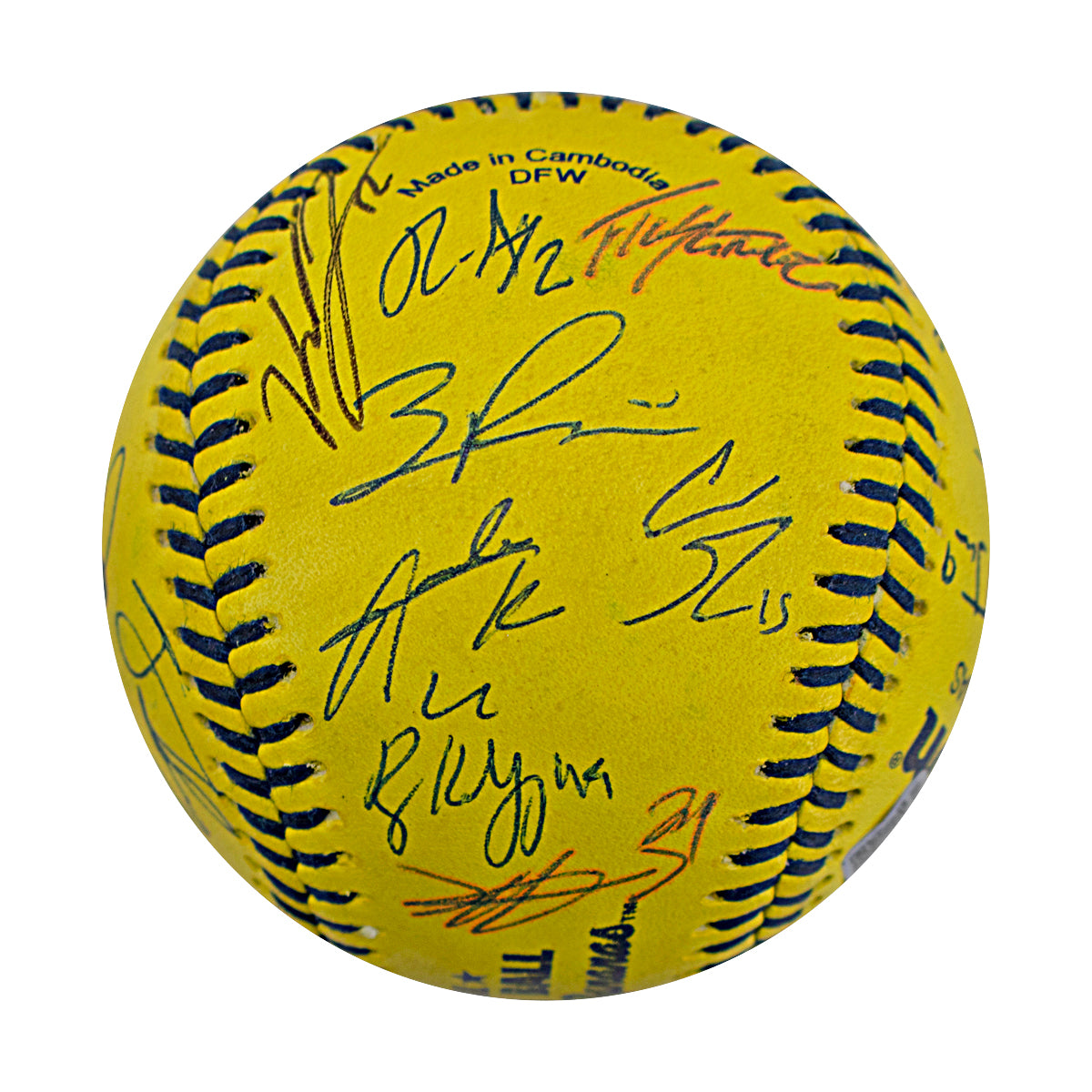 Savannah Bananas 2024 Team Signed Banana Ball