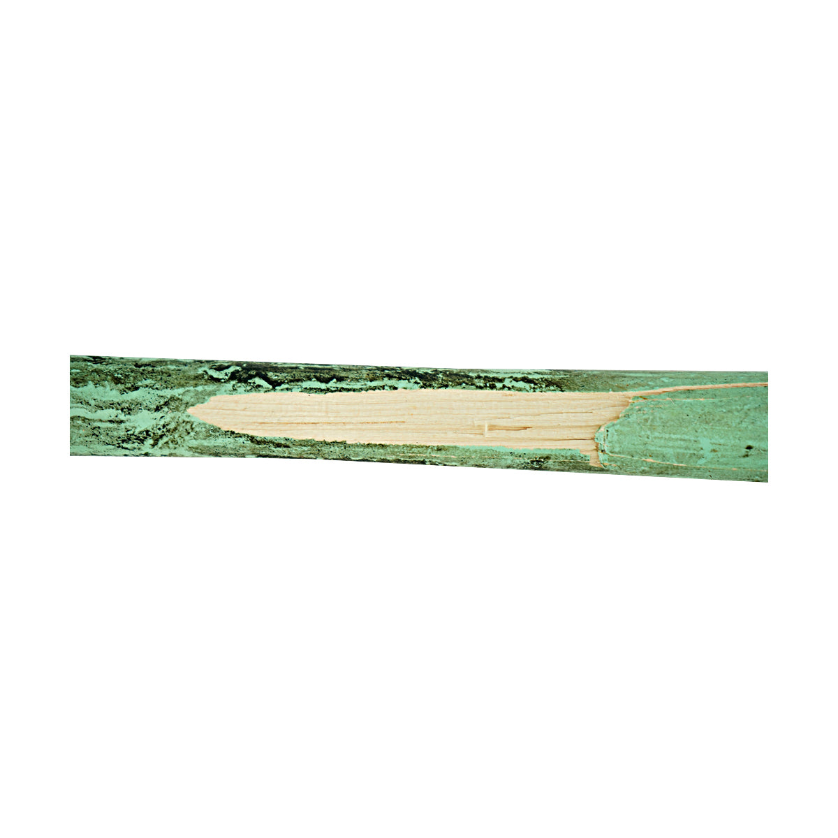 Zach Watson Texas Tailgaters Game Used Broken Louisville Slugger Bat 2.28.26 FSU Tallahassee Florida